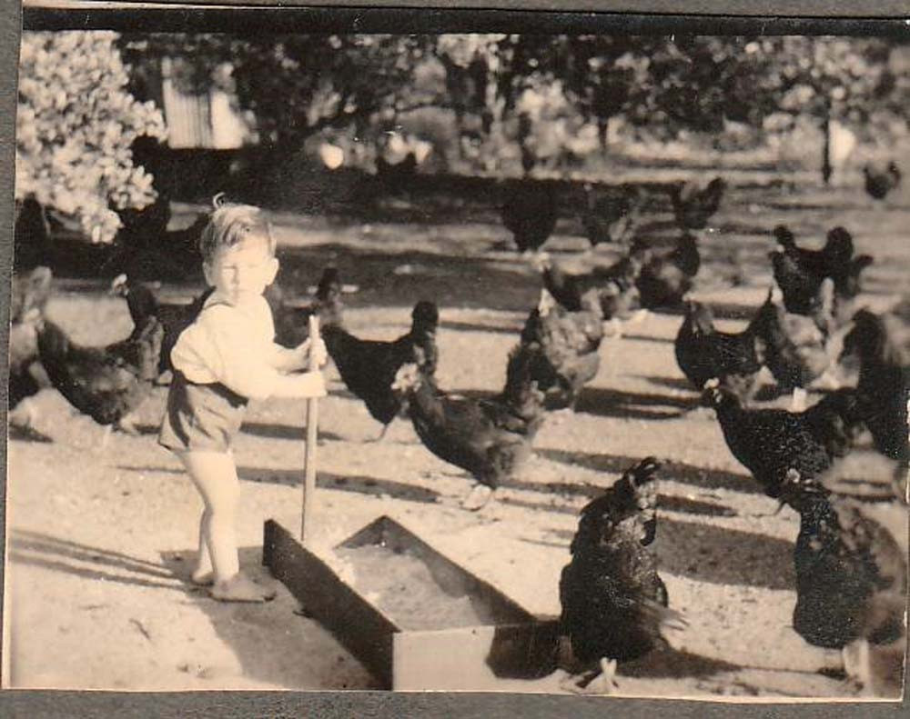 Young Robin’s love for hens started early in life.