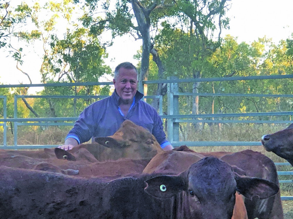 Warren with some of his cattle on his new property on Tinaroo Creek Road Mareeba.