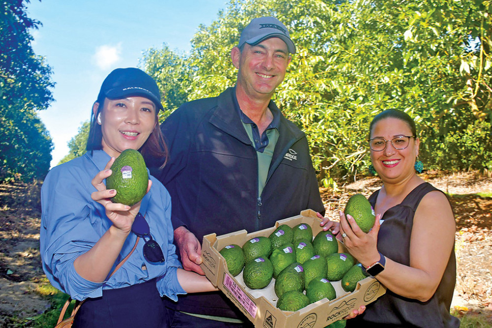 Migration agents Chuizi Grace Li (left) and Requel Ogle inspect the Rock Ridge Farming avocado farm with Peter Howe during their tour of the region.