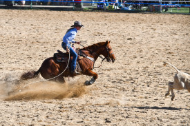 rodeo-action-2.jpg