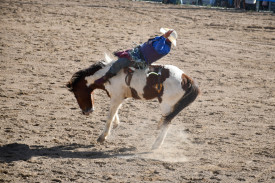 rodeo-action-7.jpg