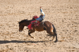 rodeo-action-8.jpg