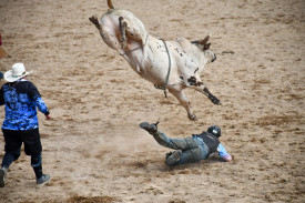 rodeo-action12.jpg