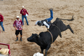 rodeo-action14.jpg