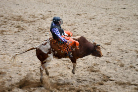rodeo-action15.jpg