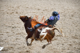 rodeo-action16.jpg