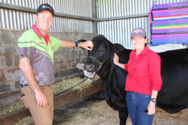 Baronessa was the first port of call for Millaa couple Mandy and Liam Postle of Beatrice Hills Brangus Stud.