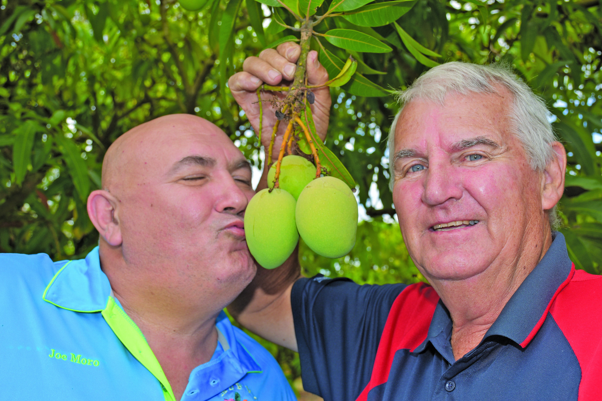 Joe Morrow from FNQ Growers and Stephen Srhoj of Lindsay Rural puckering up to some KP Mangoes.