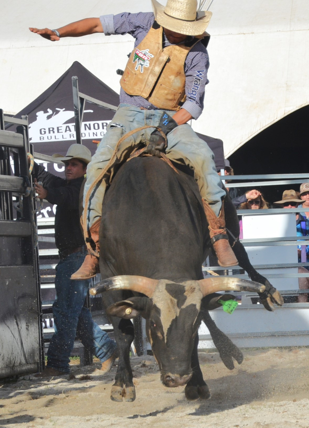 Patrick Hart put in a good effort in the Open bullride