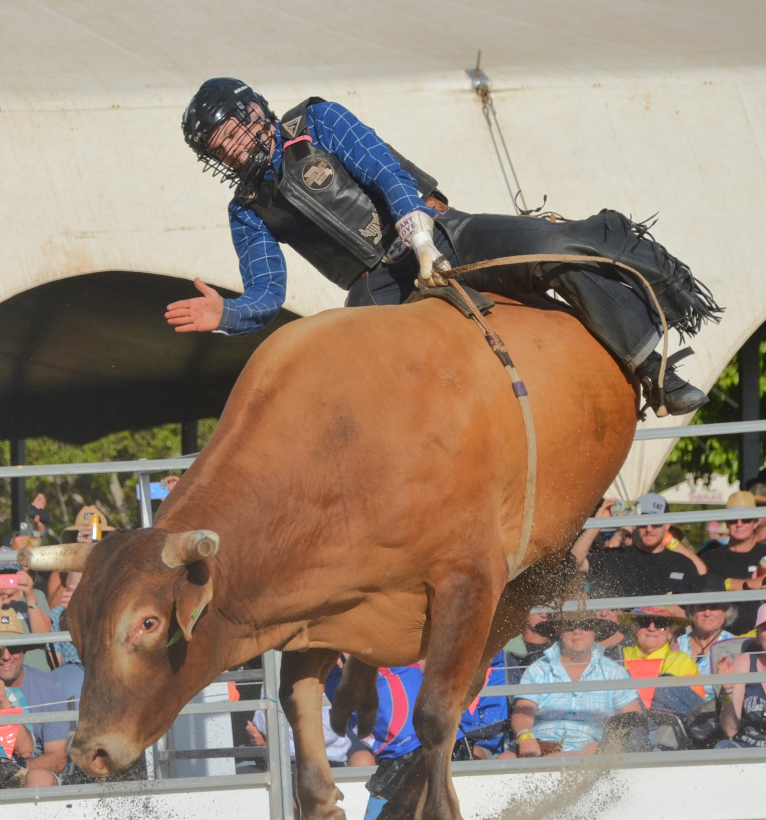 bullrides-3—-leith-malone—-open.JPG