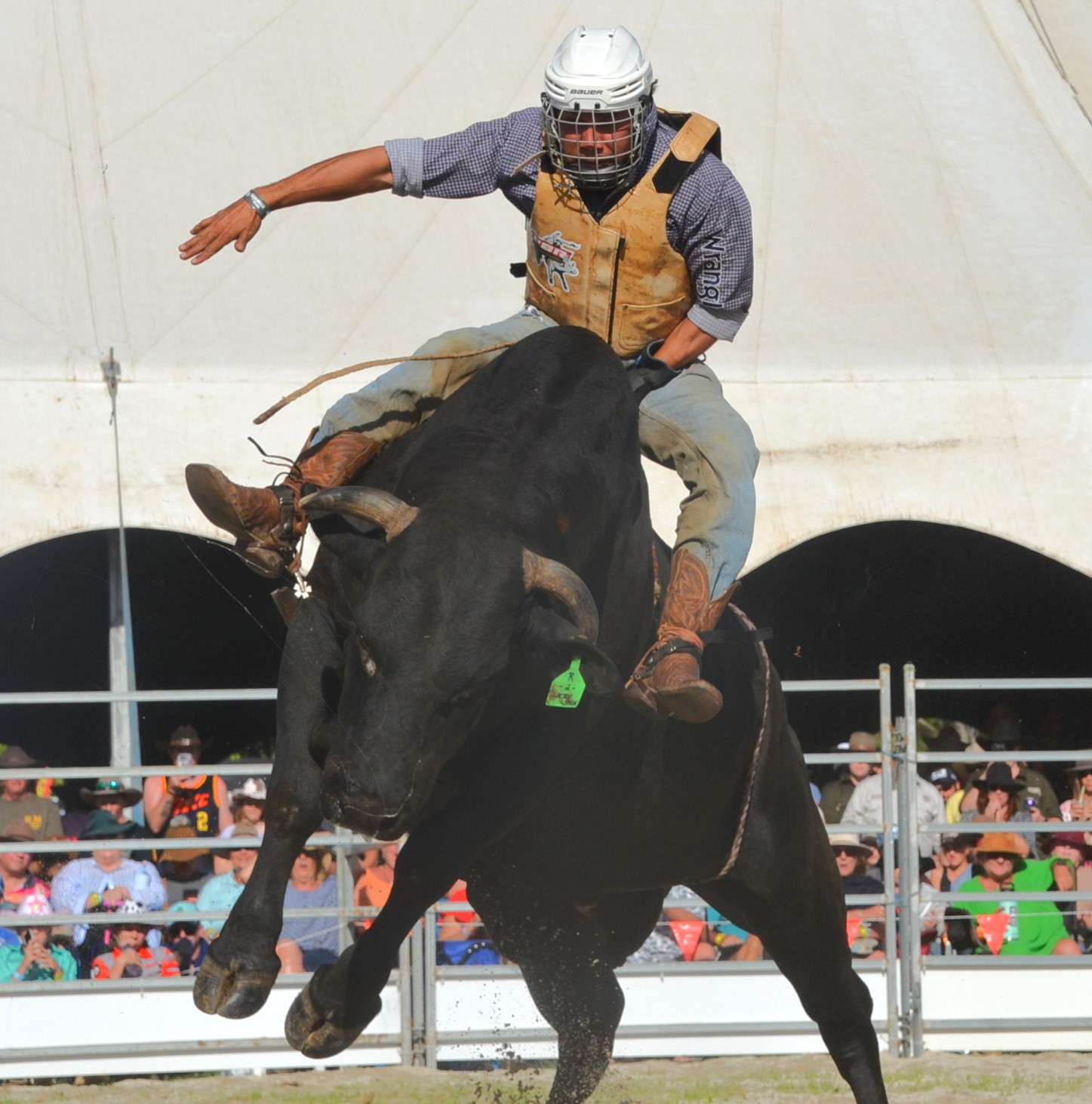 bullrides-5—-patrick-hart—-novice—-winner.JPG