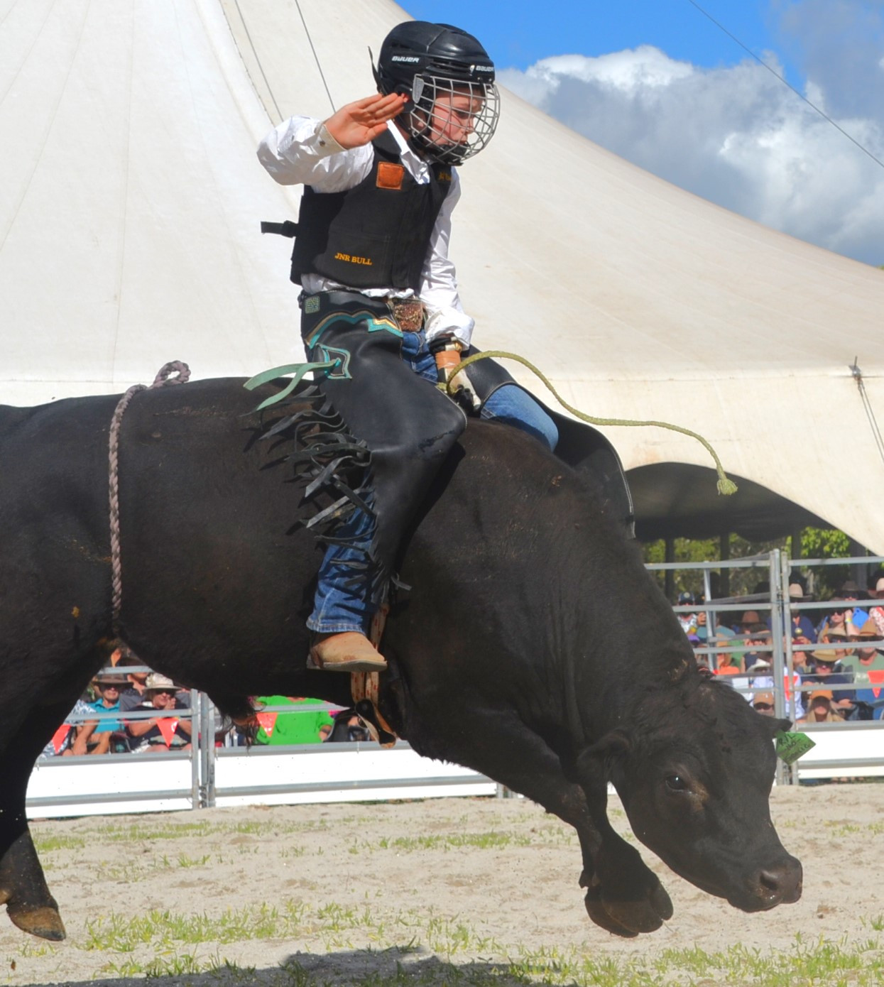 bullrides-6—-western-hildich—-8-u11.JPG