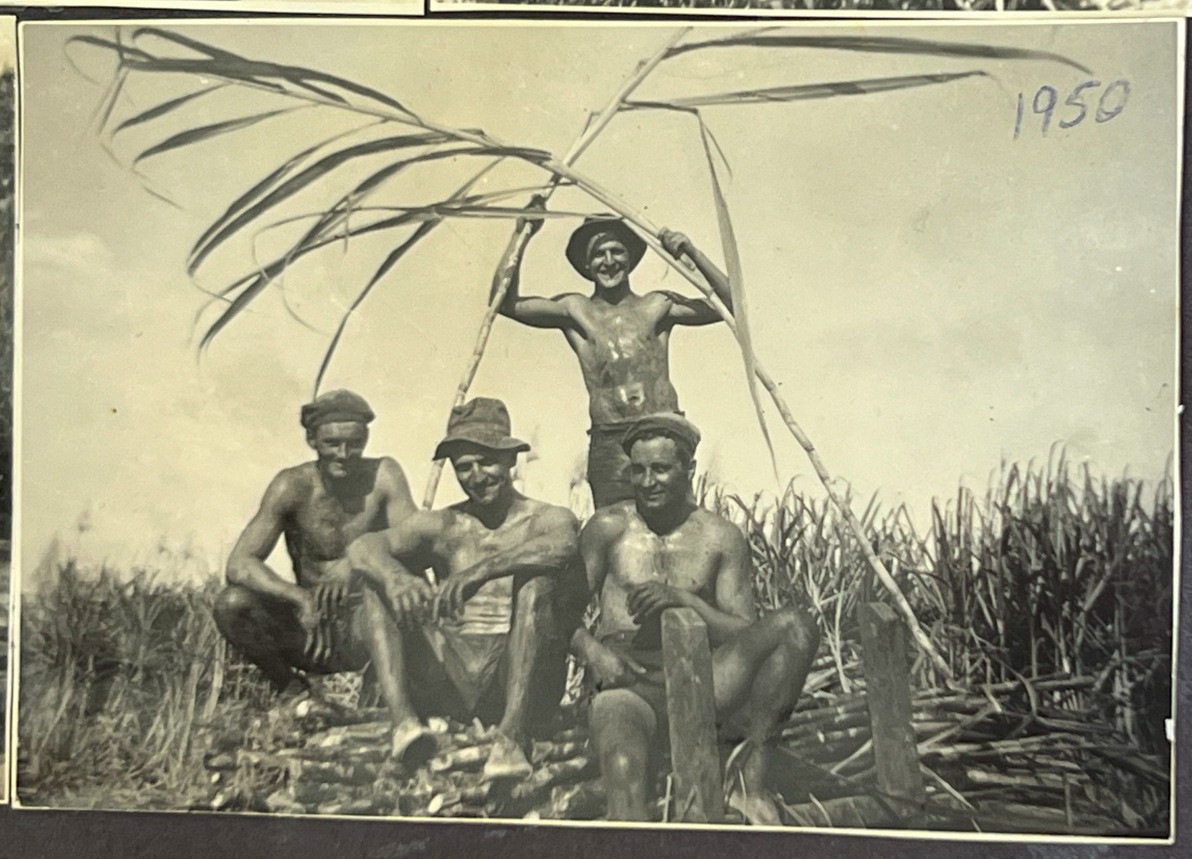 Cane cutting in Euramo (photo courtesy of FB page Mareeba History).
