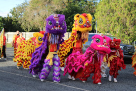 Chinese dragon performers at the Dimbulah Lions Festival street parade. Photo: Laura De Lai.