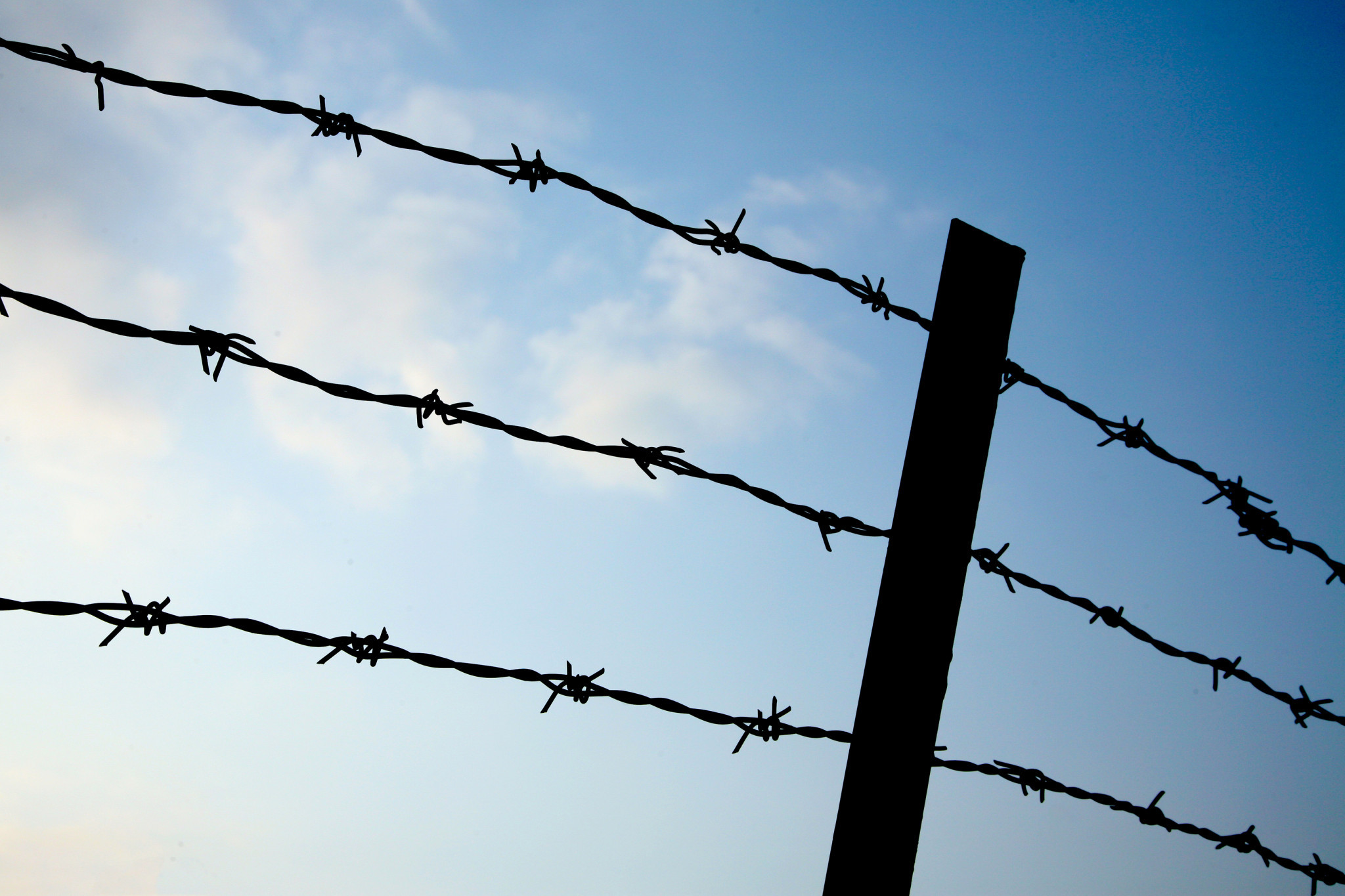 The existing local laws did not allow barbed wire fences in the shire. The new law allows for such fences except in urban areas and adjoining public lands.