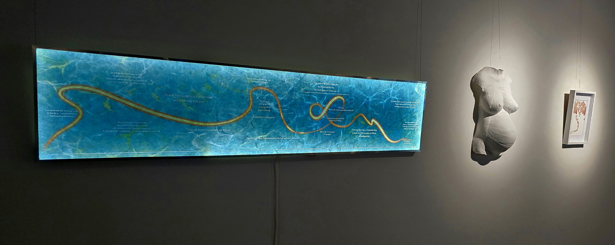 Life Ribbon 2 – Digital artwork print on Japanese Kozo Paper, backlit 2000mm x 440mm. Conveys a baby’s eye-view of the womb-like environment while using a light ribbon to represent the umbilical cord. It travels along the 9-month journey tracking events and emotions along the way. This was of Amanda’s second pregnancy with son Coda.