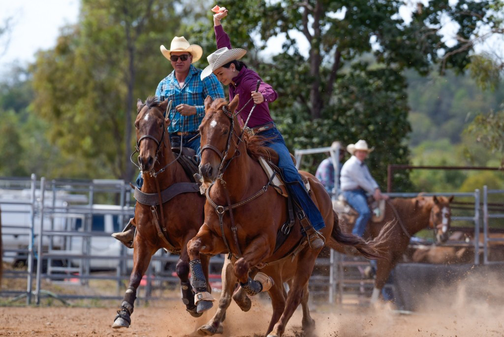 Nicole Gava competing in the Steer Undecorating on her horse Peely.