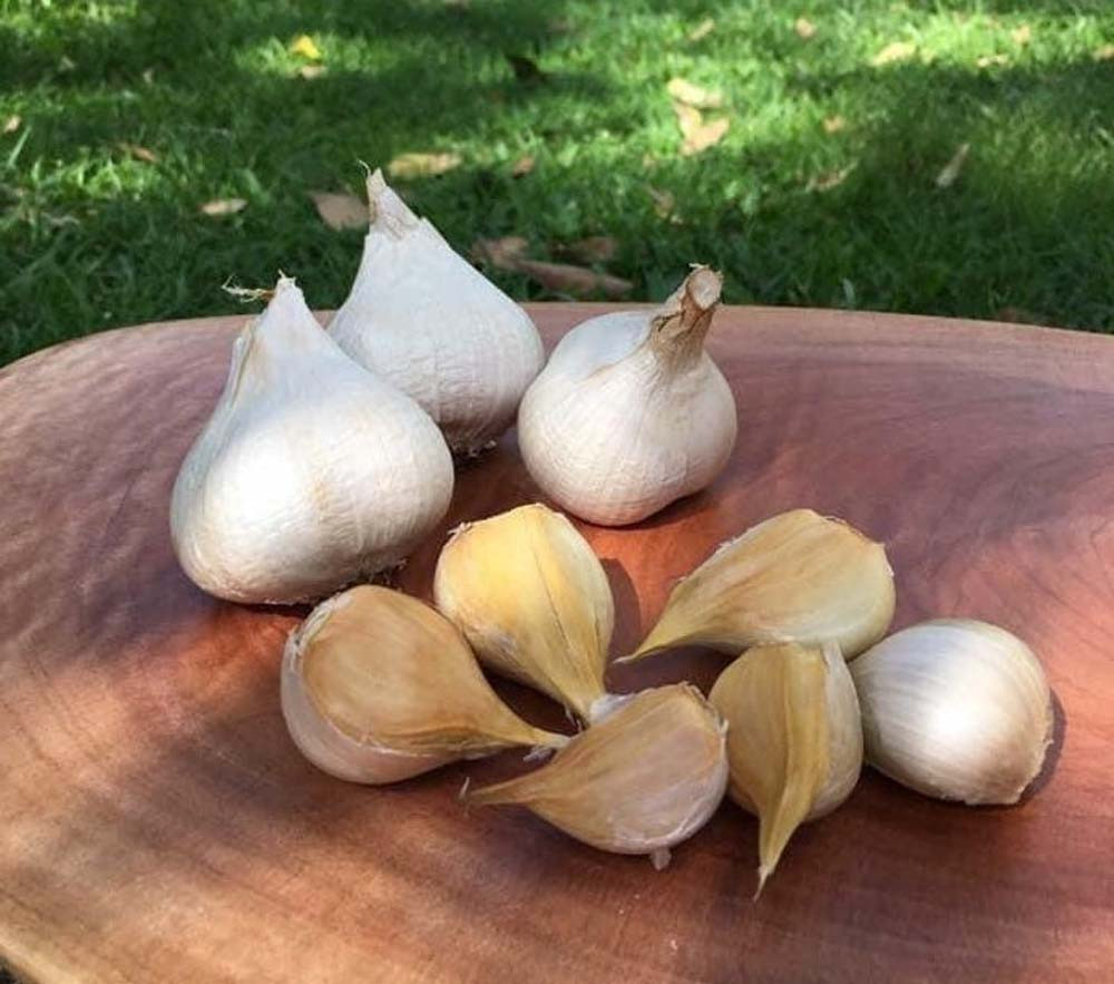 garlic—-the-finished-product-bulbs-and-cloves.jpg