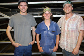 Max and DJay Weldon of South Johnstone, had a last look at the pens of steers and heifers they had for sale, with friend Bryce Maley.