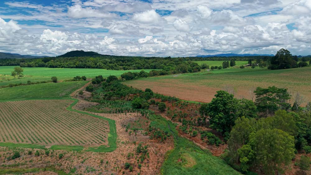 The Gallo farm.