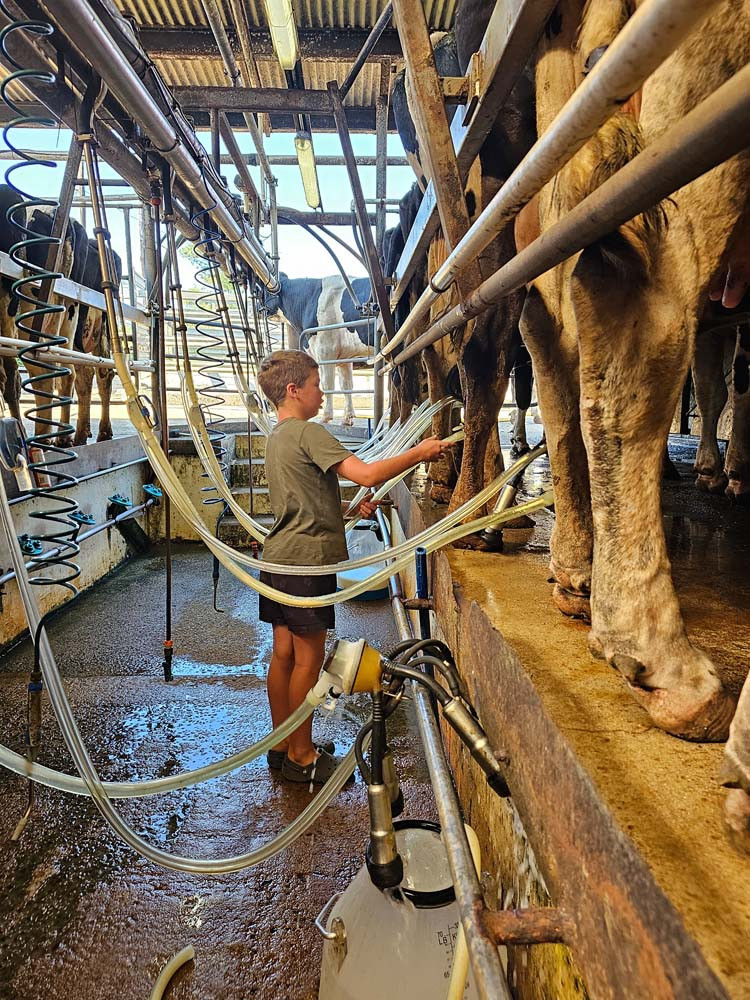 Toby Veivers (9) in action, milking at “Faraway Dairy’, the family-owned farm of his grandparents, James and Sari Geraghty.