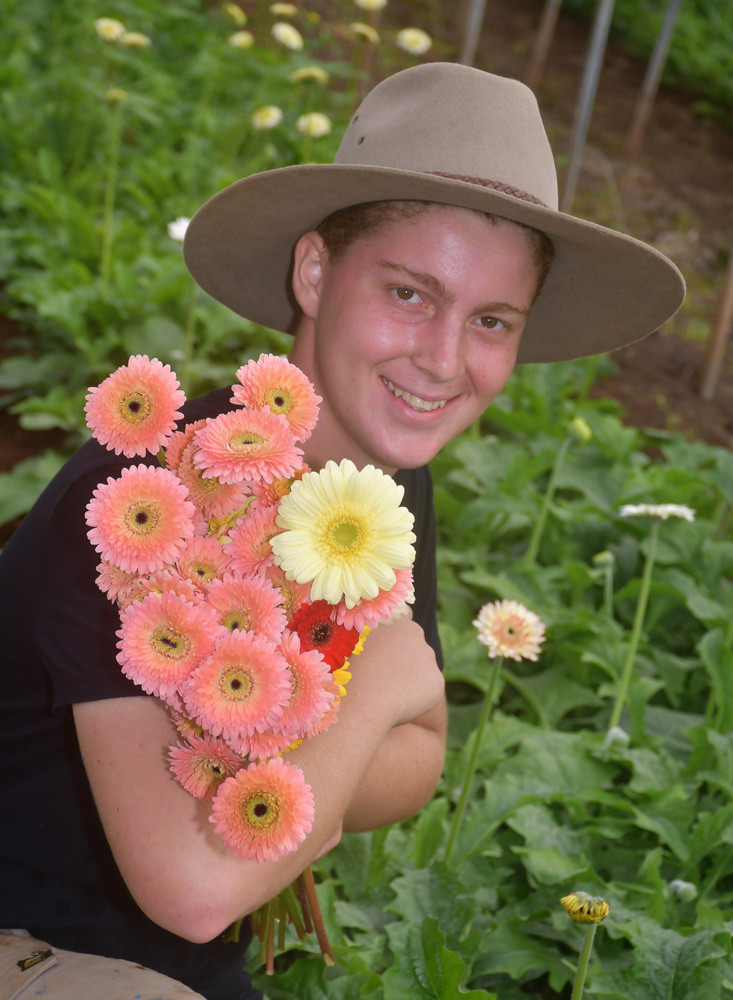 Cadel Edwards with a selection of gerberas from Roseburra