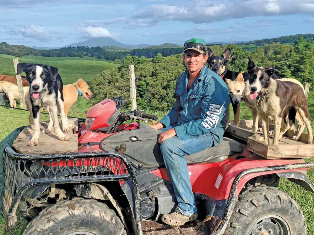 Corrie Kelly’s idea to kick off the state’s fi rst online working dog sale might prove a game changer for the industry. With the dogs advertised, throughout New South Wales, Victoria and Queensland Corrie said he would be presenting a more professional working demonstration video for the next sale.
