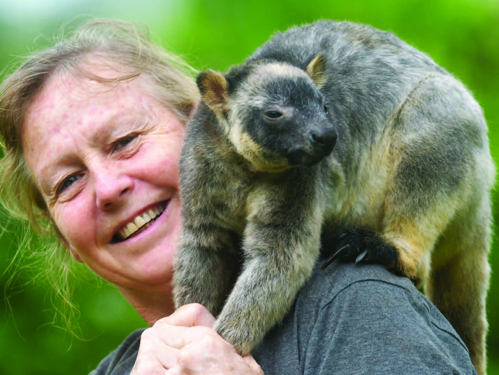 Dr Karen Coombes with Charlie the tree kangaroo.