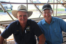 Malanda sale vendor, Colin Daley of “Ourway Holsteins,” Millaa Millaa and Malanda beef producer Dave Andersen discussed sale results.