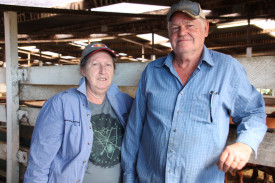 Susan and Perry Forster, who started farming Droughtmaster cross cattle a few years ago, at the Middlebrook, outside of Millaa Millaa, came along to the showgrounds for a look.