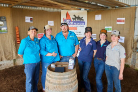 Alyssa and Russell Kidd of Maple Downs Murray Greys and their team were ready for a busy Better Beef day last week.