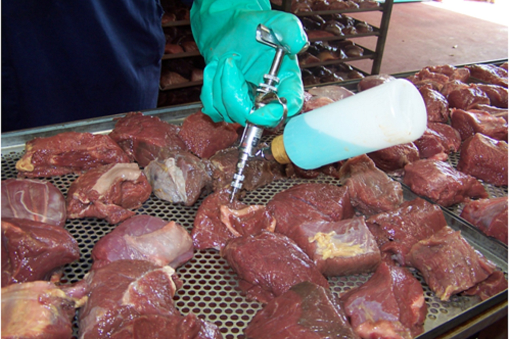Meat being injected with 1080 poison
