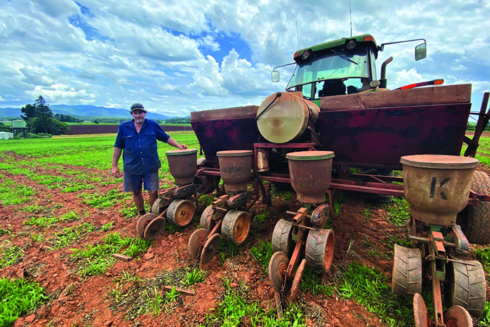 Alex Bertola planting corn into strip-tilled roller-crimped ground on his farm at Kairi.