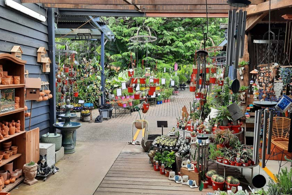 Limberlost Nursery has a wonderful array of decorative items as well as a huge range of plants on offer.
