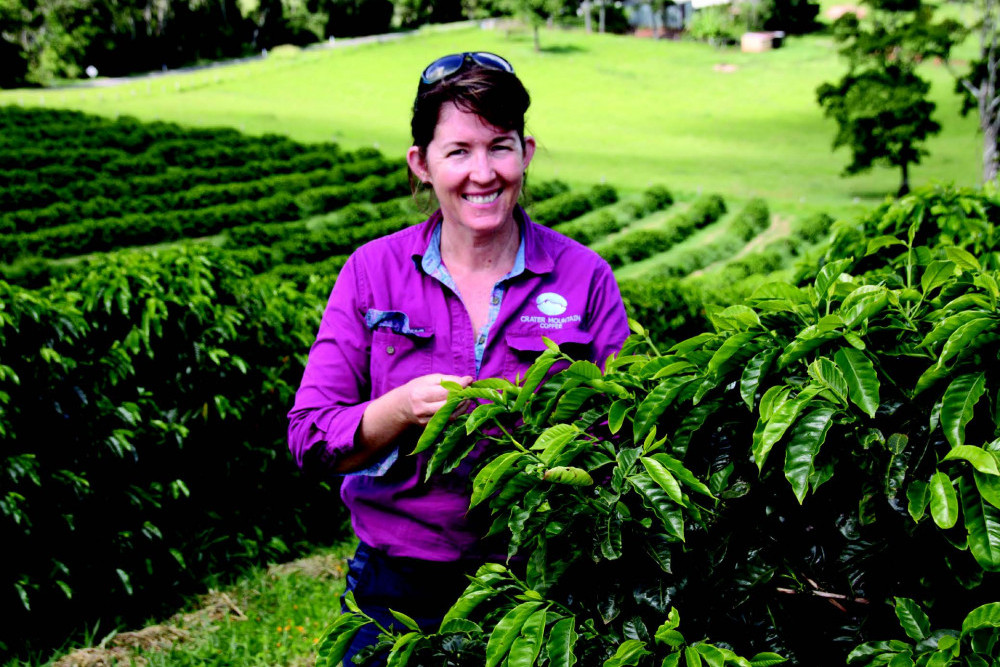 Located high on the rich basalt slopes atop the extinct Tableland volcano, Mt Malanda, Lucy Stocker and James Masterman's property has proved the perfect place for growing the flavoursome, award winning coffee beans she sells to online customers in Melbourne, Sydney and Perth.