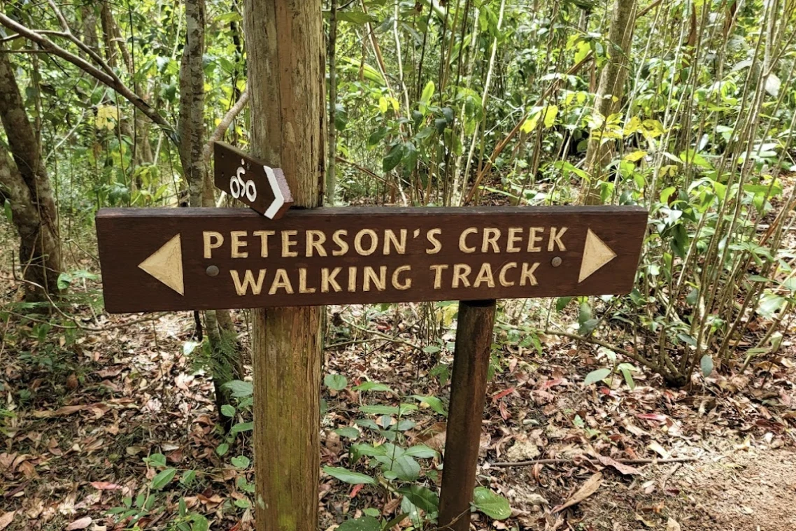 Public access to be restored to track - feature photo