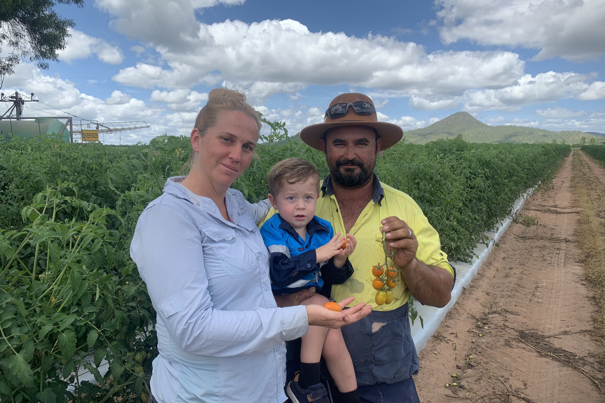 Nikita and Rob Grima with their youngest child Carson inspect the orange grape tomatoes that will be sold in the increasingly popular melody packs all over Queensland. Nikita said little suprises like receiving a card from a customer thanking them for growing tomatoes as they should taste, helped her through the bad days
