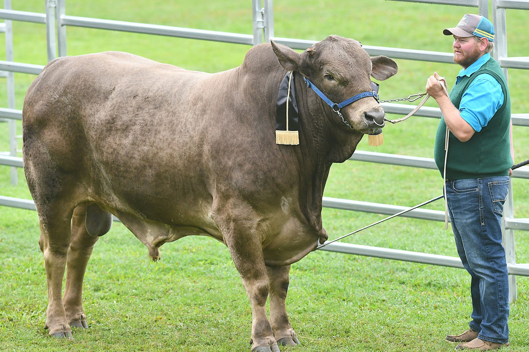 Ag show funding - feature photo