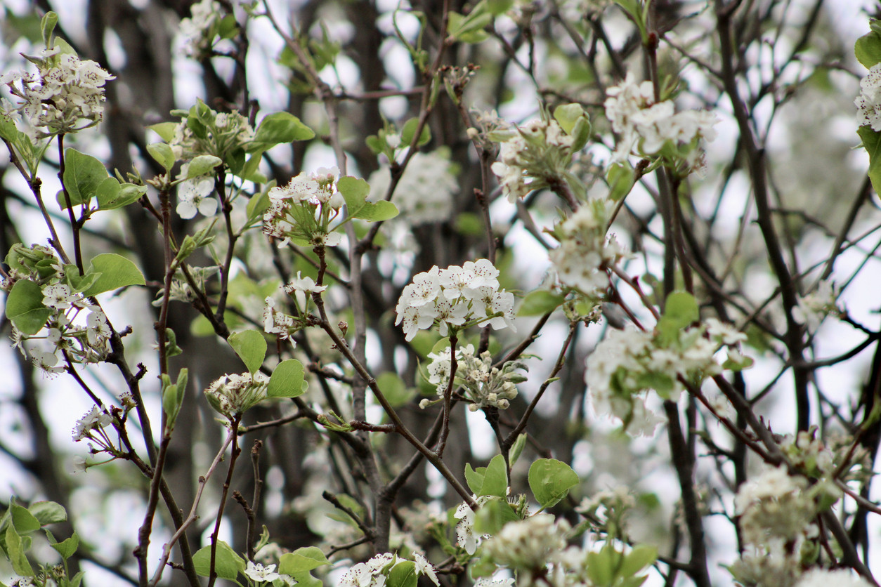 Council investigating rotten odour - feature photo