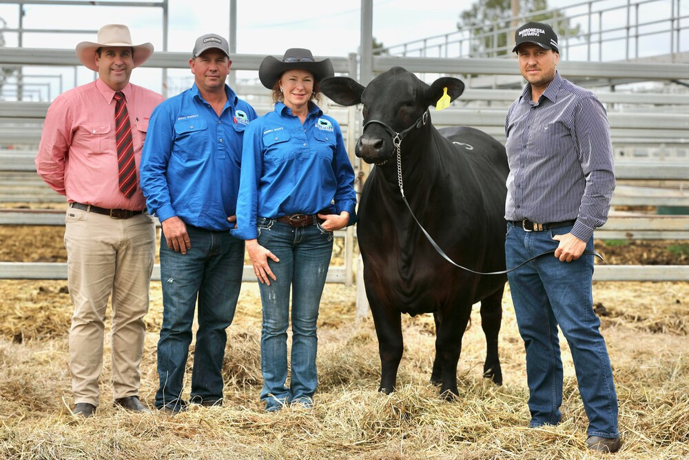 Barronessa Millstream heifer: The stylish daughter of Barronessa Aspen 541 M11 and Nindooinbah G 805 achieved top price female status at the Rockhampton Brangus Sale and across Australia for 2022 when she sold for $45,000 recently. She is pictured with auctioneer, Anthony Ball, Isaac Ramsay and Mandie Scott from Millstream Springs, Millaa Millaa and vendor Jeff Strazzeri. PHOTOS: Kent Ward.