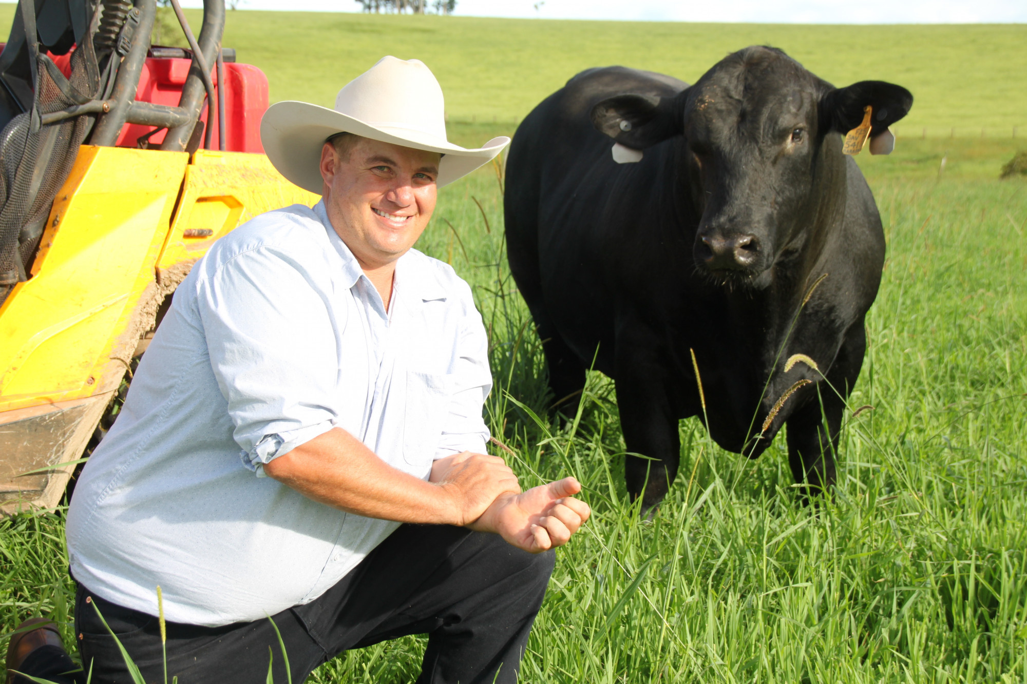 Shane Strazerri is looking forward to this year's Rockhampton Brangus sale, where Ultra Black sire, Baronessa Mr Holloway will lead their team of 7 bulls on off er. INSET: On the back of their international success, Joe, Sharon and Shane Strazzeri of Baronessa Farm, Atherton, will off er a draft of nine Brangus bulls for sale at the FNQ Field Days in May.