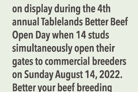 Studs open gates for Better Beef Day