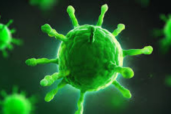 Seven new cases of novel coronavirus have been confirmed in Queensland. - feature photo