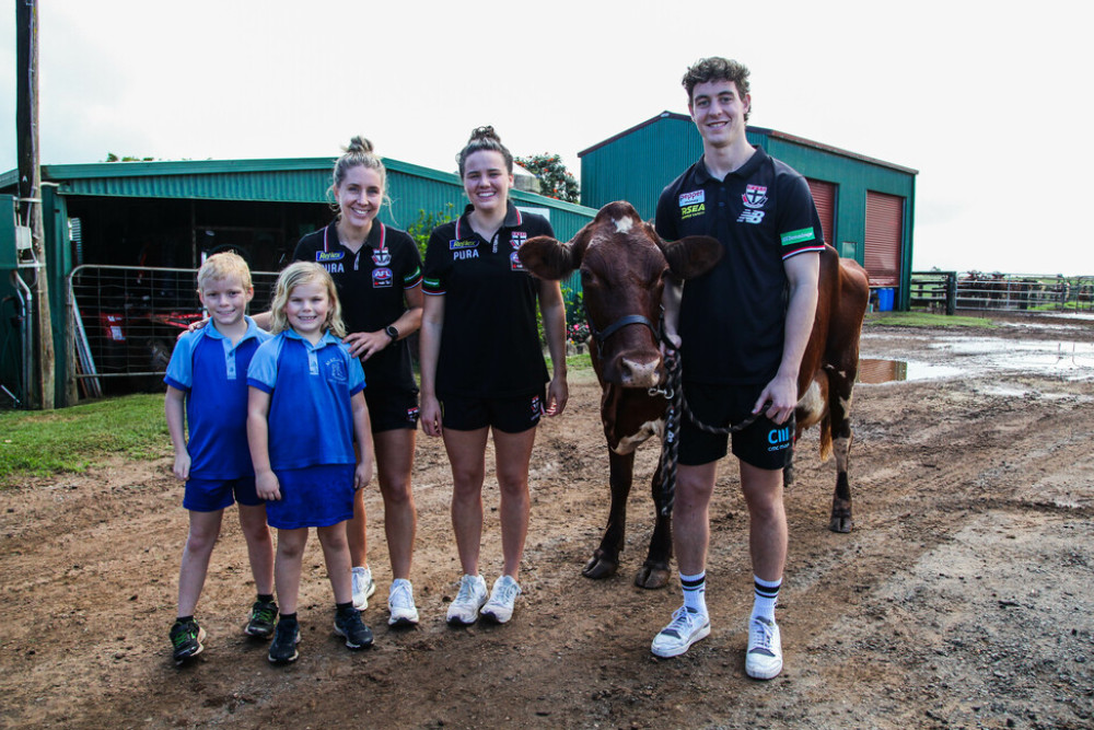 St Kilda players learn milking skills - feature photo