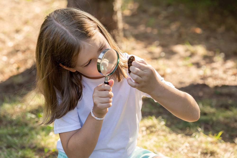 BioBlitz to study river surrounds - feature photo