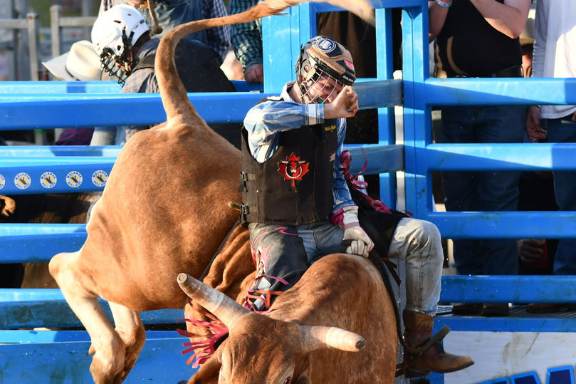 Malanda bull ride success - feature photo