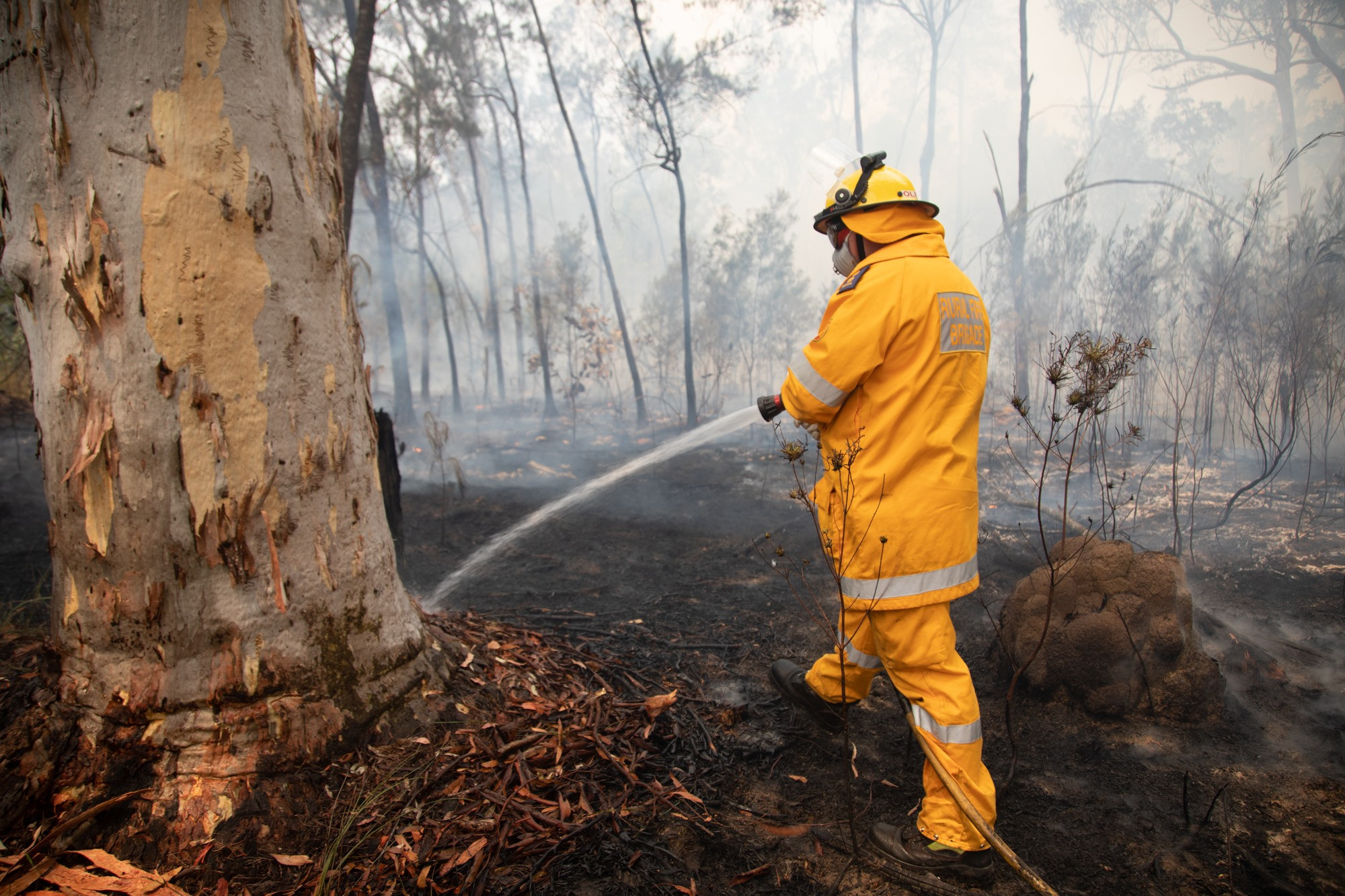 Bushfire in Irvinebank, south west of Herberton. - feature photo