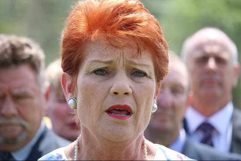 Pauline Hanson threatens state government with high court - feature photo