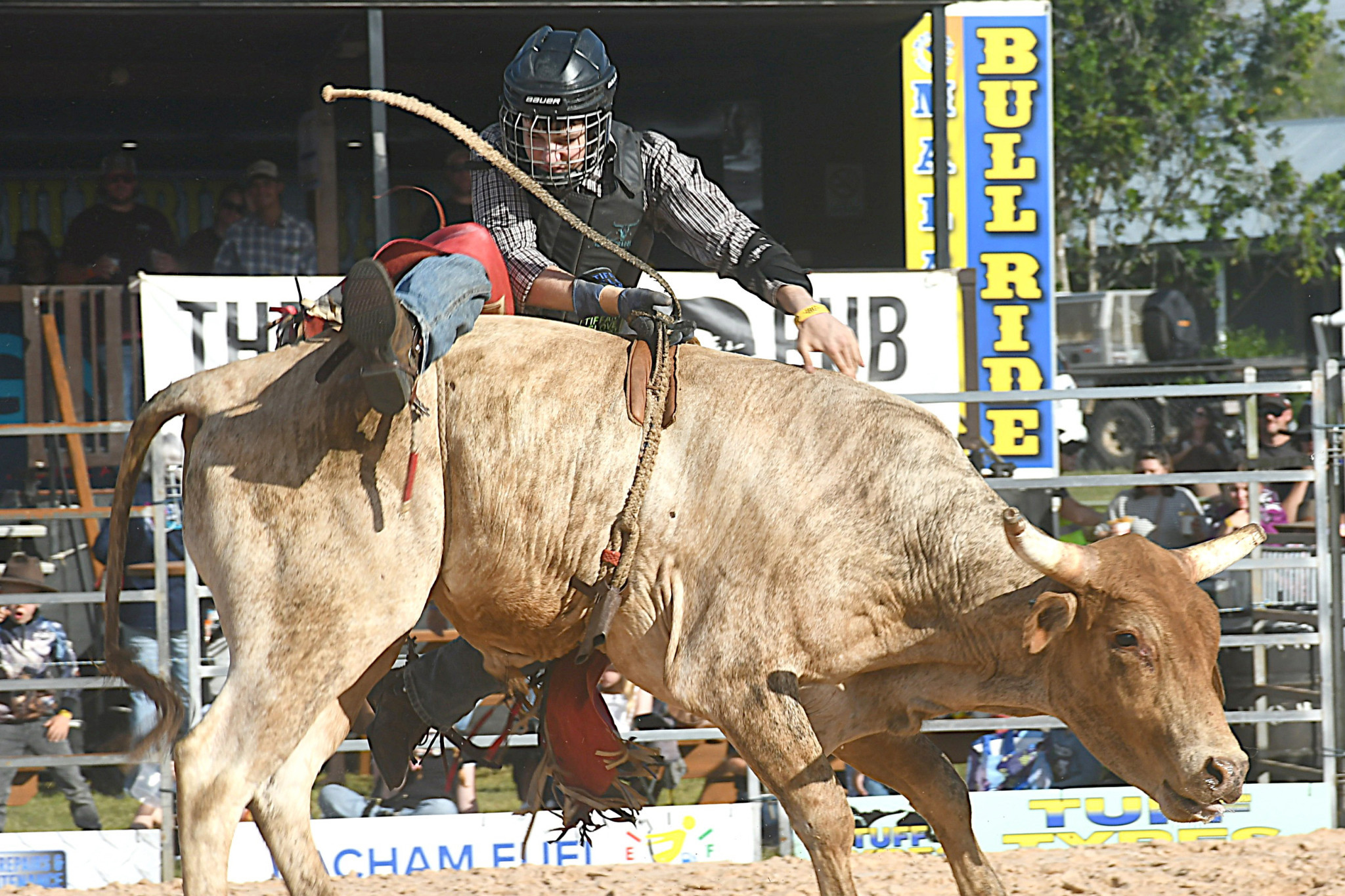 Malanda delivers bucking action - feature photo