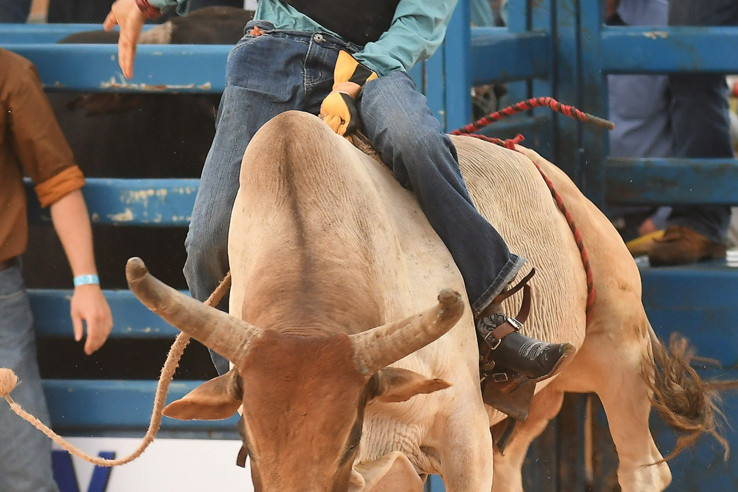 Junior bull rider Travis Koolatah